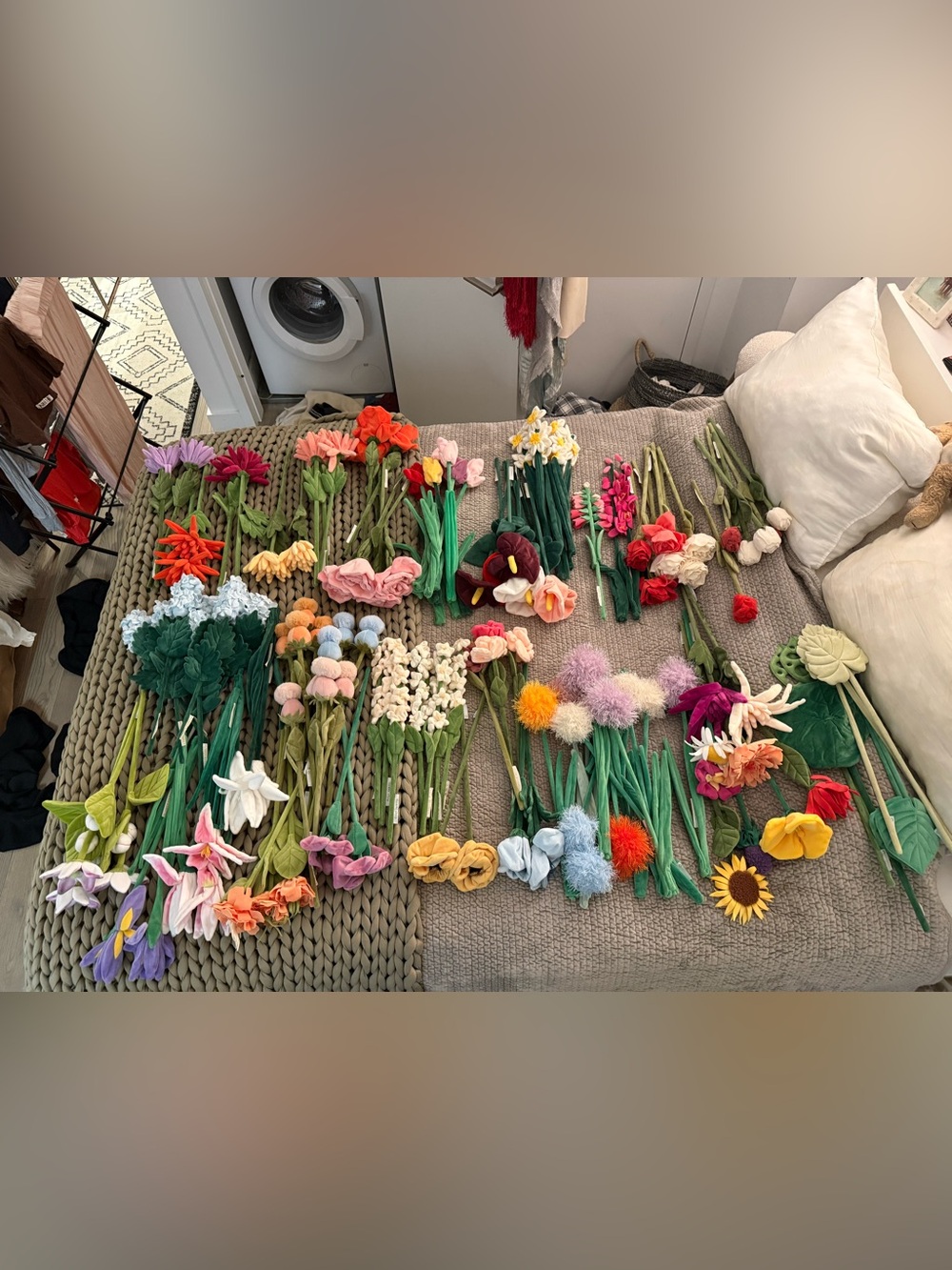 CJ Hendry Flower Market Flowers